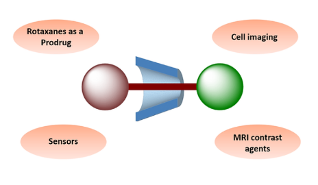 Mechanically interlocked molecules for Biological Applications 