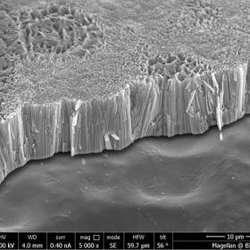 התמונה נלקחה במכשיר HR-SEM ומציגה צינוריות (nanotubes) של החומר TiO2 שסונטזו במעבדה. התמונה צולמה ע"י גיל ברגמן, קבוצת המחקר של פרופ' דורון אורבך