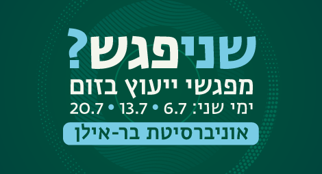 מפגשי הייעוץ